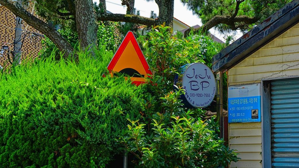 Jeju B.P. Guesthouse المظهر الخارجي الصورة